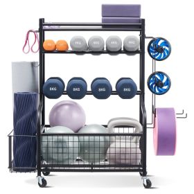 D01027RGNBX Multifunctional Workout Equipment Storage Organizer