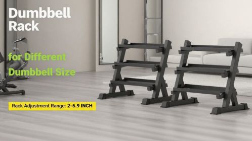 D01027RP2T2 commercial-grade steel dumbbell rack offers a 1000 lb capacity.