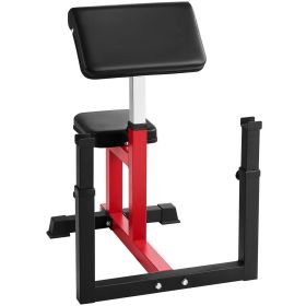 D01027RQNMT .Barbell/Dumbbell Bicep Curl: