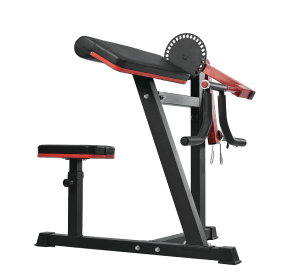 Strength Training bending biceps bending and triceps extension
